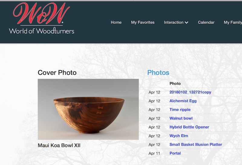  Maui Koa bowl, another WOW cover of the day, this one was picked by one of the world's best turners: Terry Scott 